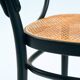 Chaises en bois cintré Thonet avec cannage 214f 210r, ensemble de 2.