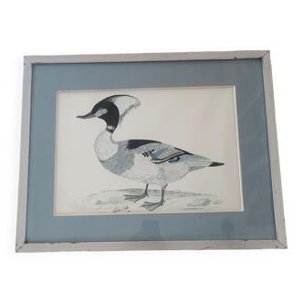 Vintage watercolor painting duck Dayelle by Terronblan Monbaly