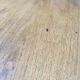 1950s oak office counter