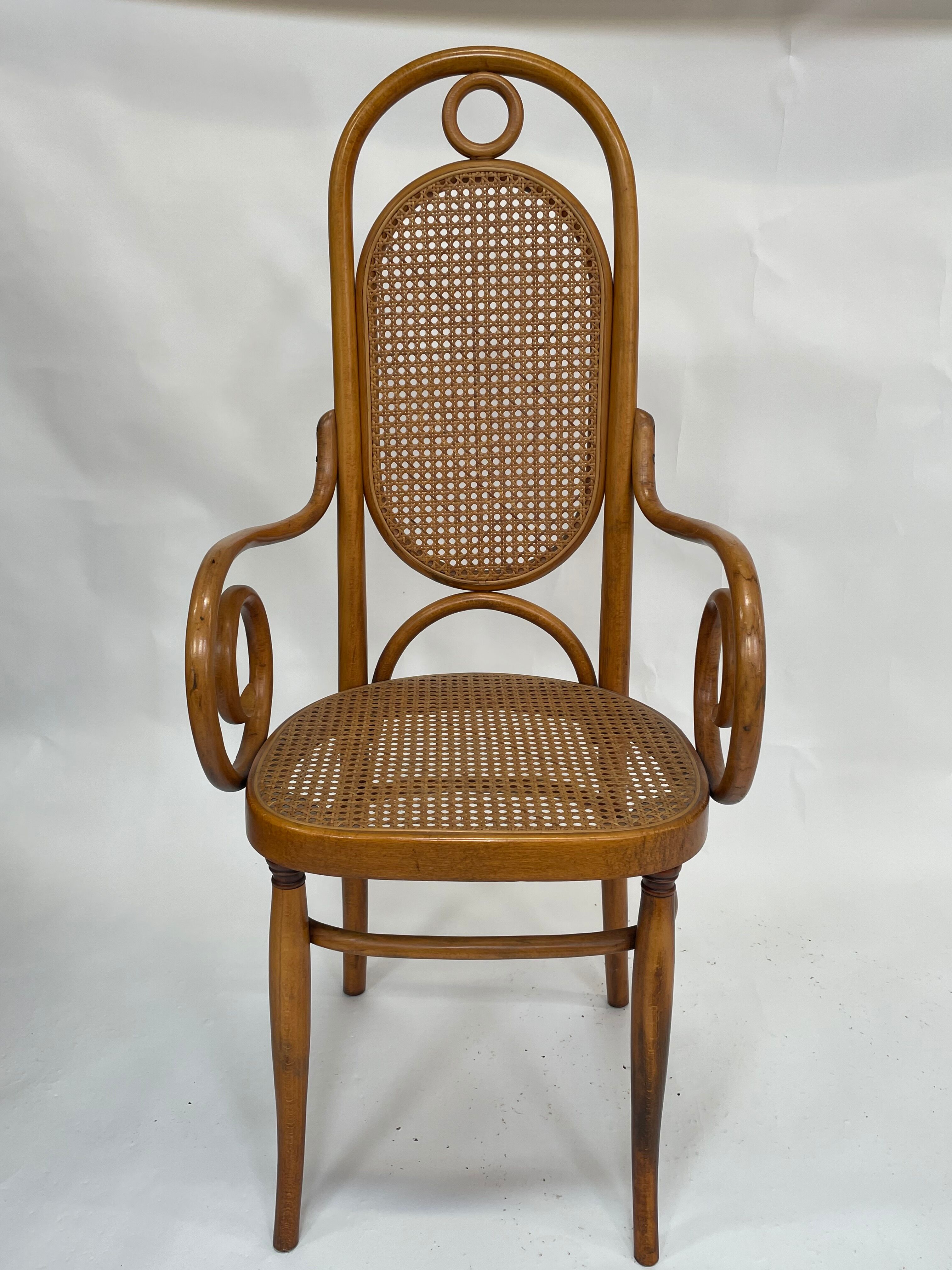 Sculptural bendwood side chair model