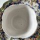 Breakfast set duo Desvres Fourmaintraux regionalist decoration