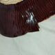 Large vintage fish platter Vallauris – Ceramics – 1960s