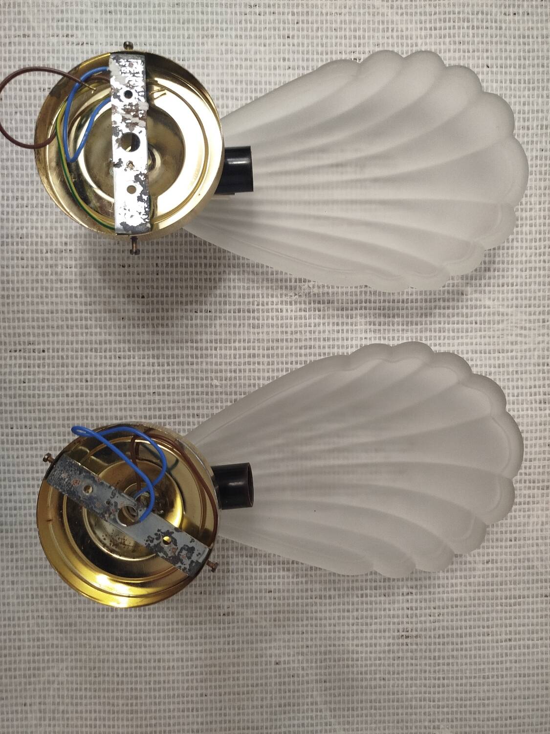 Pair of wall sconces shell lamps Art Deco frosted glass