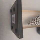 Shell inclusion lamp