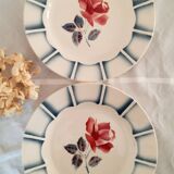 6 Digoin old flat plates