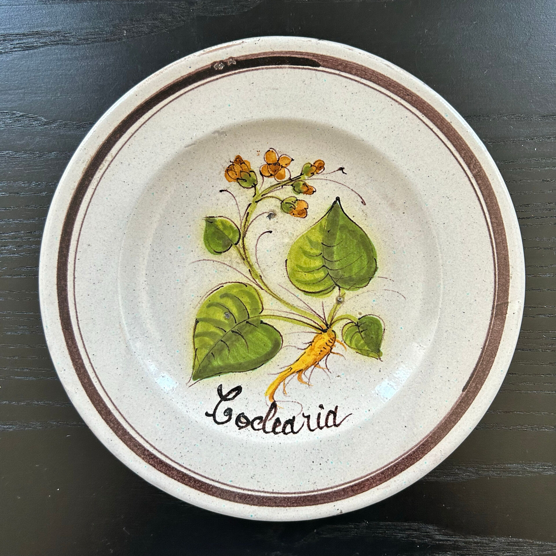 Collection of 3 botanical dishes made in Italy.
