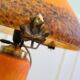 Mushroom lamp in glass paste, vintage