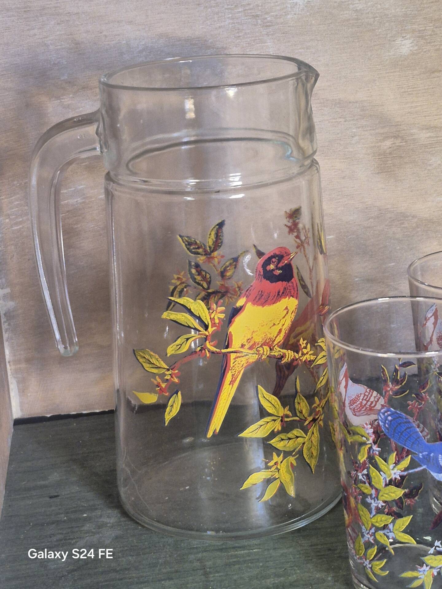 Verres oiseaux