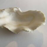 Coquillage bénitier - 20x12x4cm - naturel - 550g