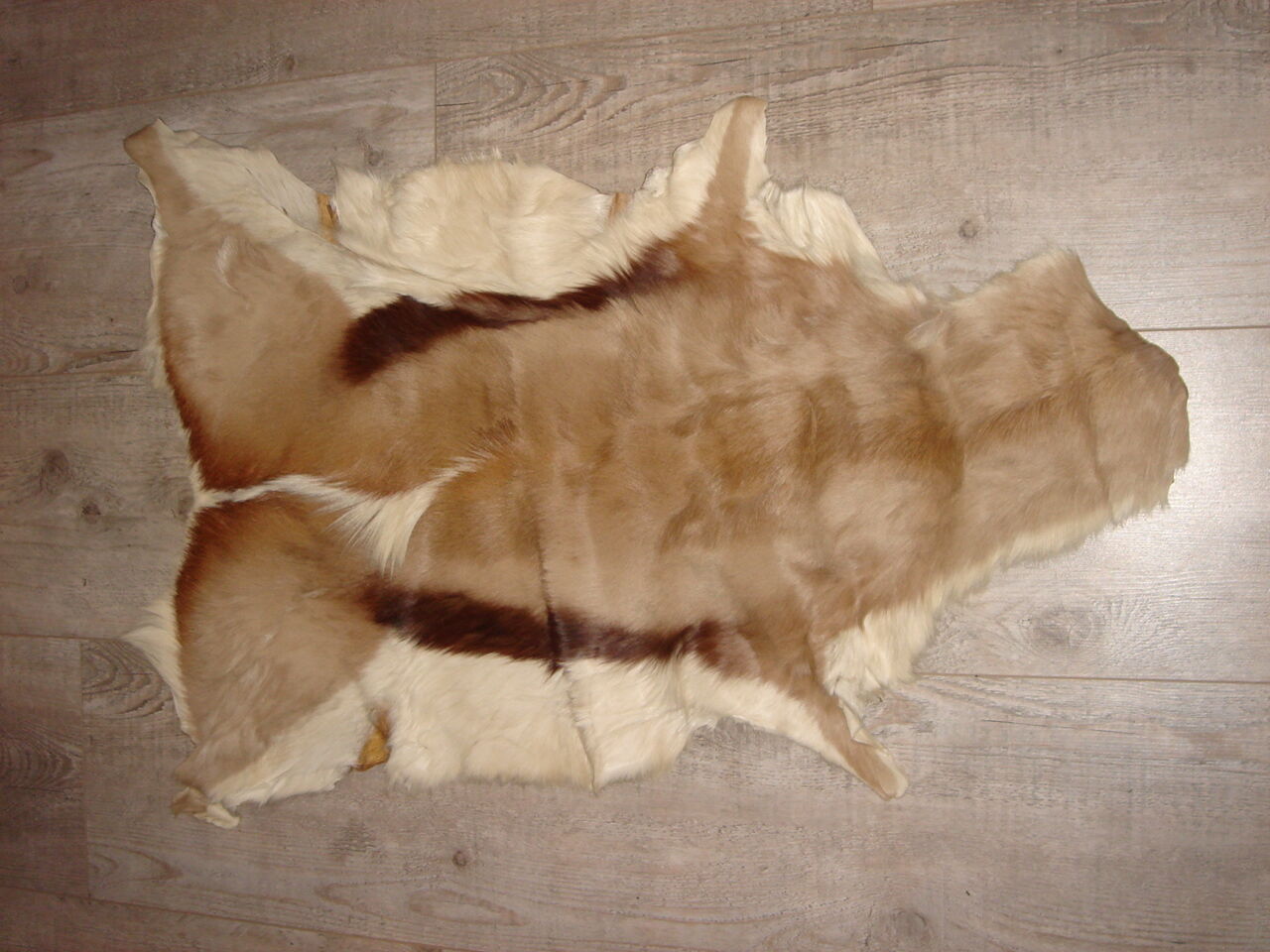 Skin of goat or tanned impala, ideal descent of bed 50x100cm