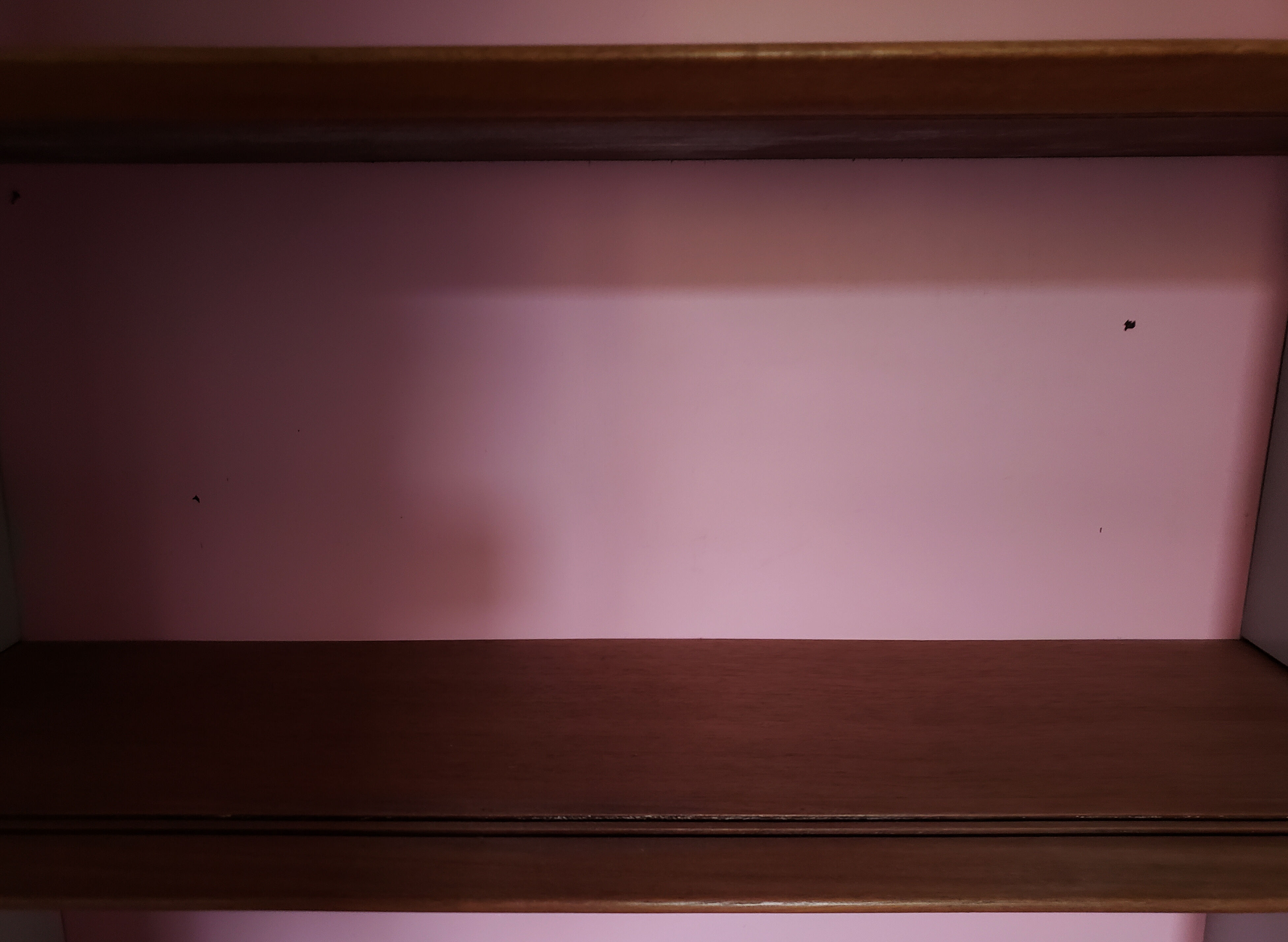 Oscar bookcase