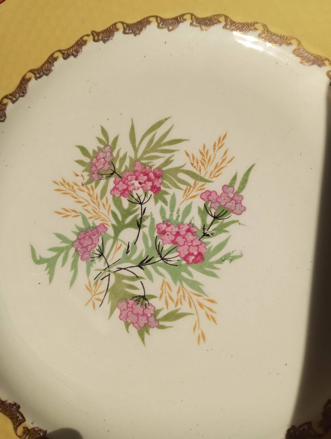 Amandinoise plate service