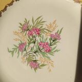 Amandinoise plate service