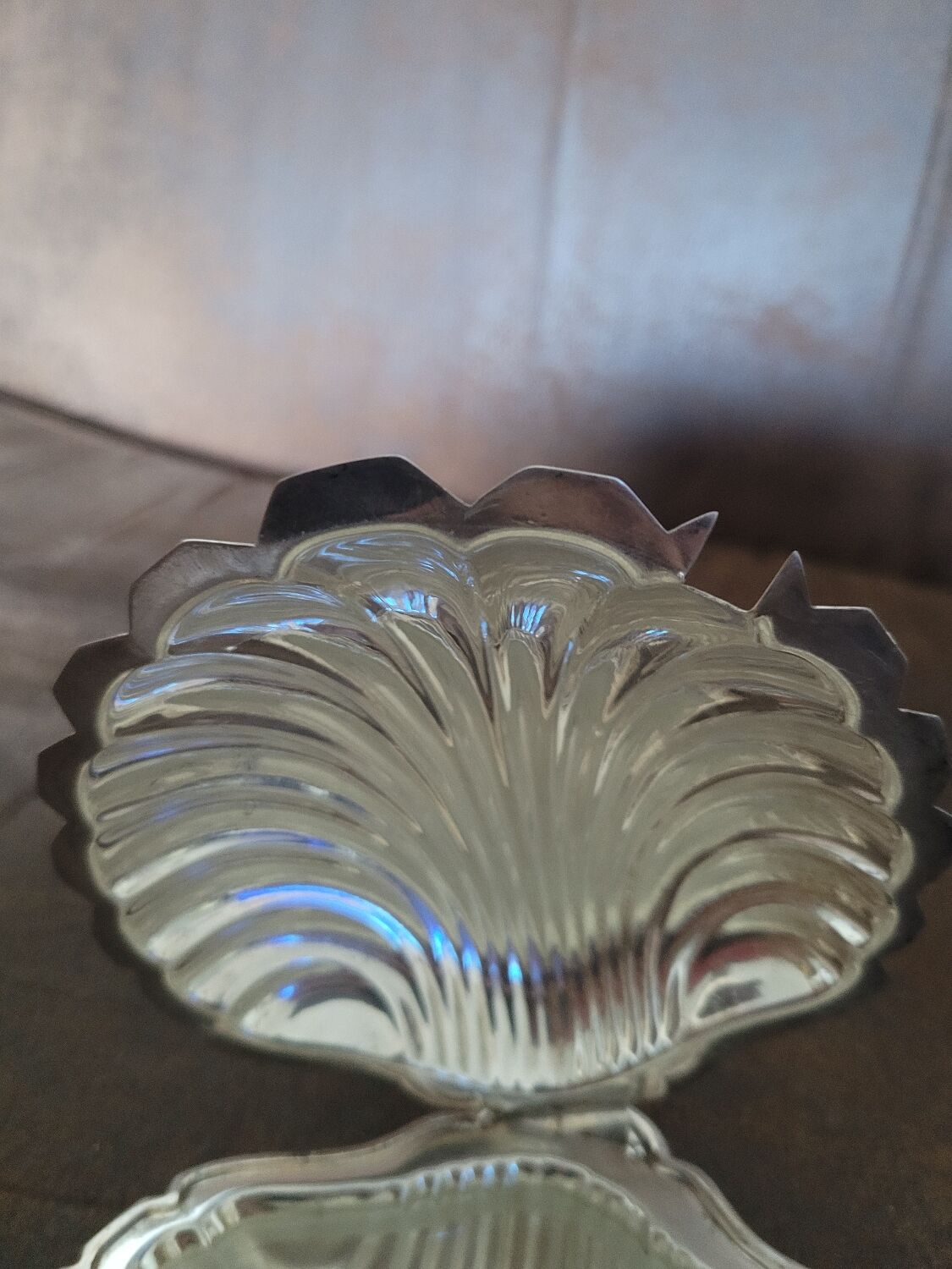 Beurrier coquillages