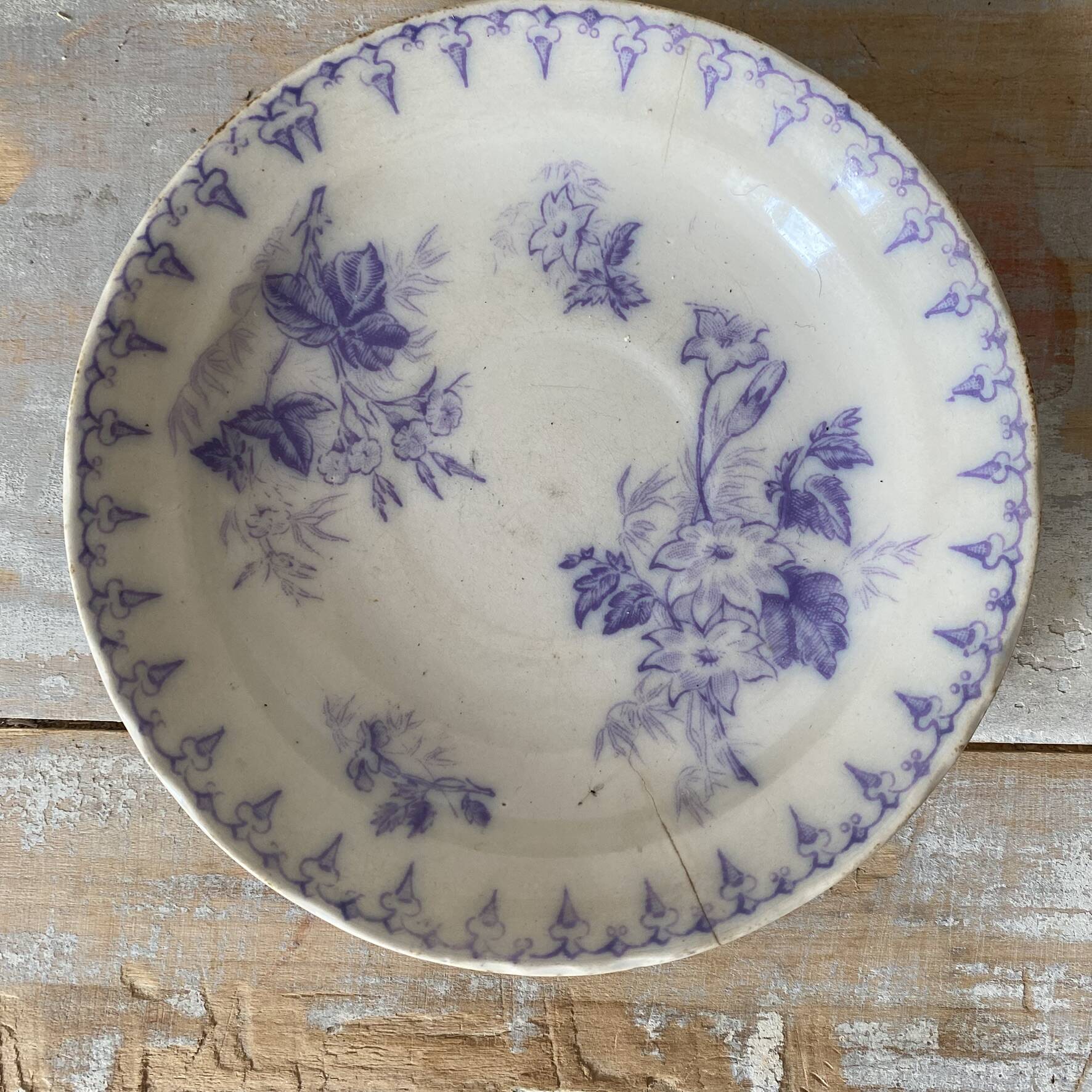 Assiettes en terre de fer décor Flore , coupelles  anciennes
