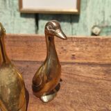 Pair of golden brass ducks