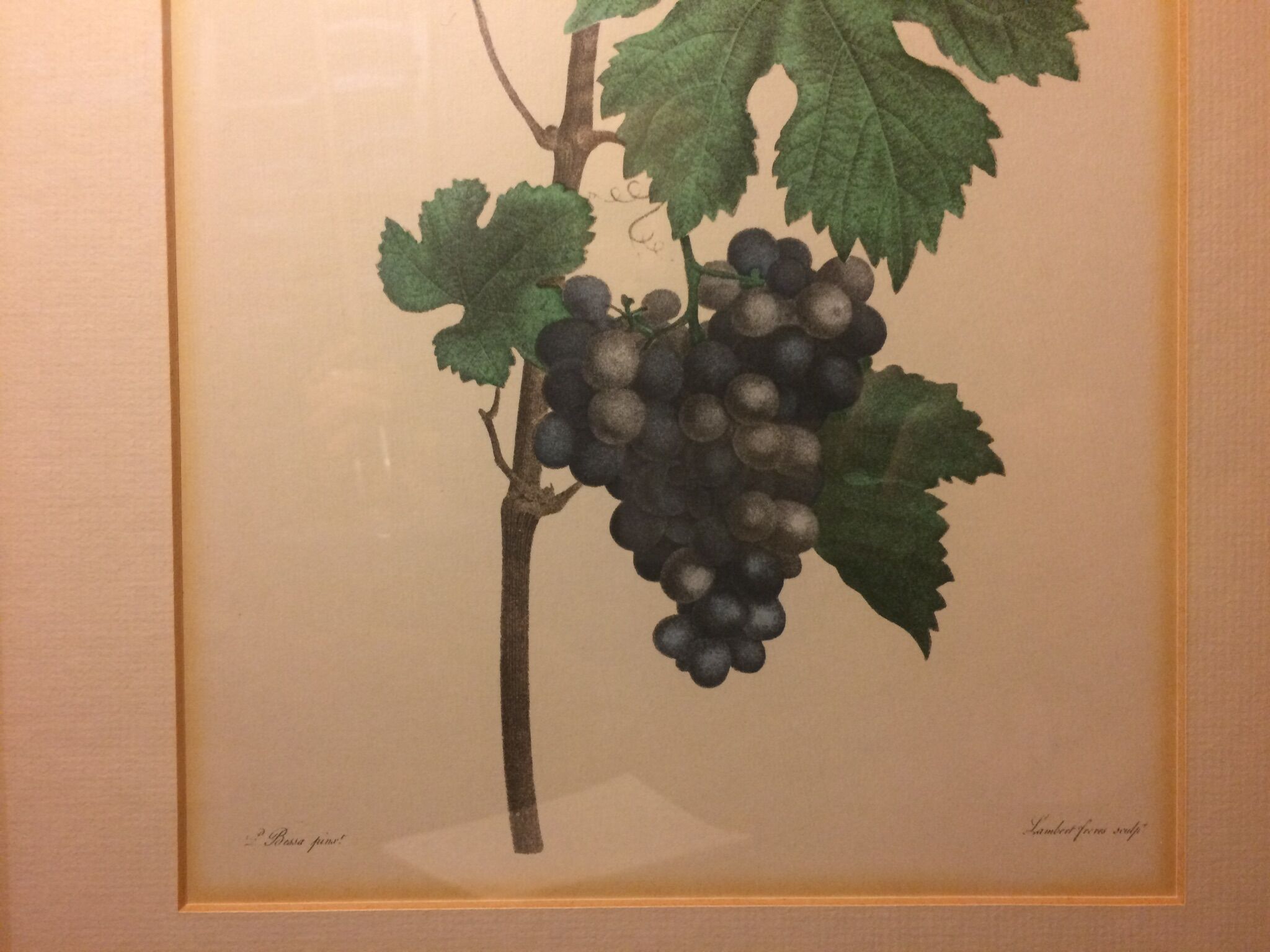 Former vignes botanical plank vintage green wood frame