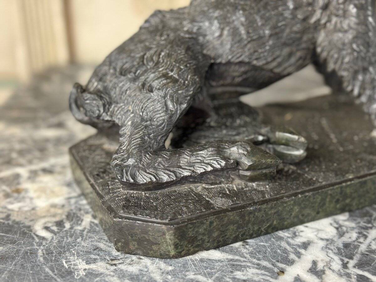 The Porcelino after Pietro Tacca, sculpture in green serpentine marble, Italy 19th century.