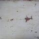 Large wooden desk with patinated bleacher