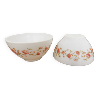 Peony illustration bowls