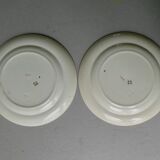 Set de 2 assiettes décor fleurs et abeilles, fin XIXème
