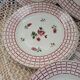 12 plates + 1 Digoin and Sarreguemines dish