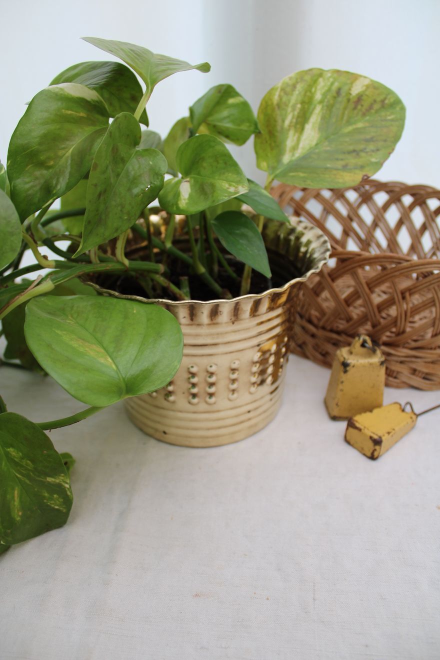 Golden pot cover
