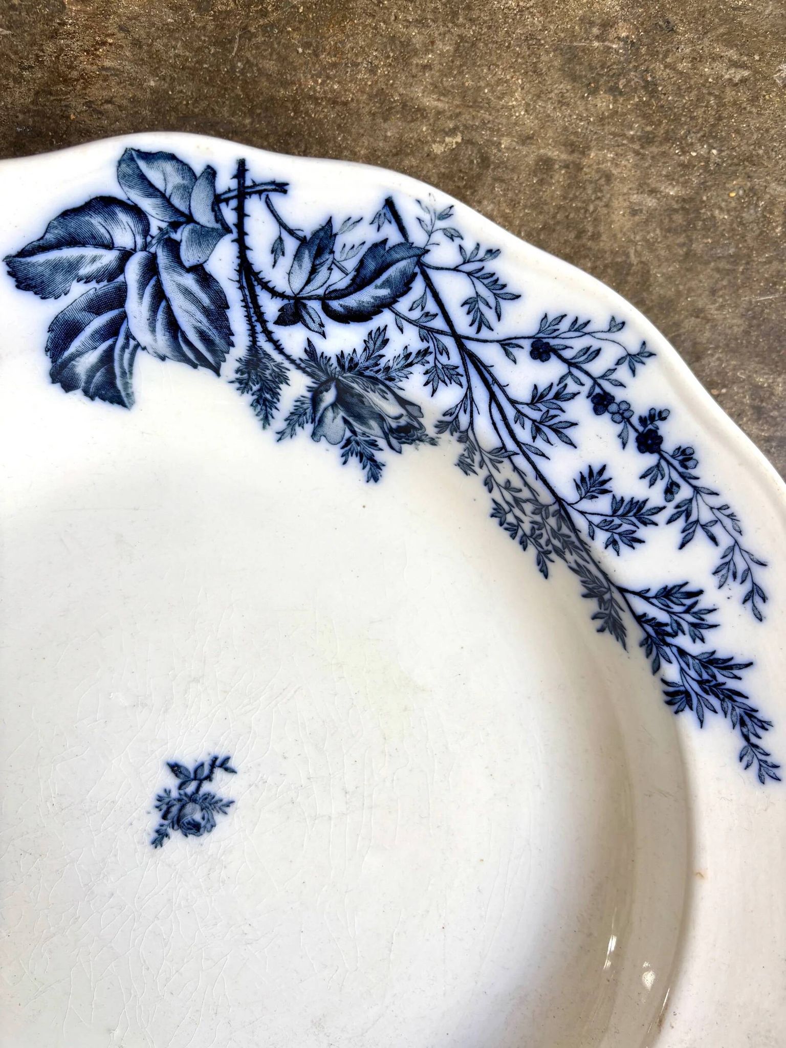 Plat rond et creux BWM & Co en terre de fer, service "Florentine"