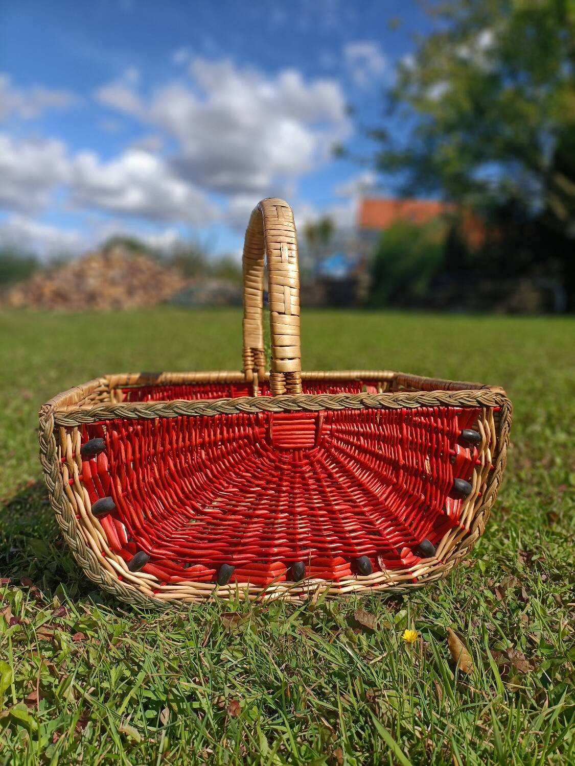 Retro Watermelon Basket