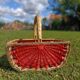 Retro Watermelon Basket