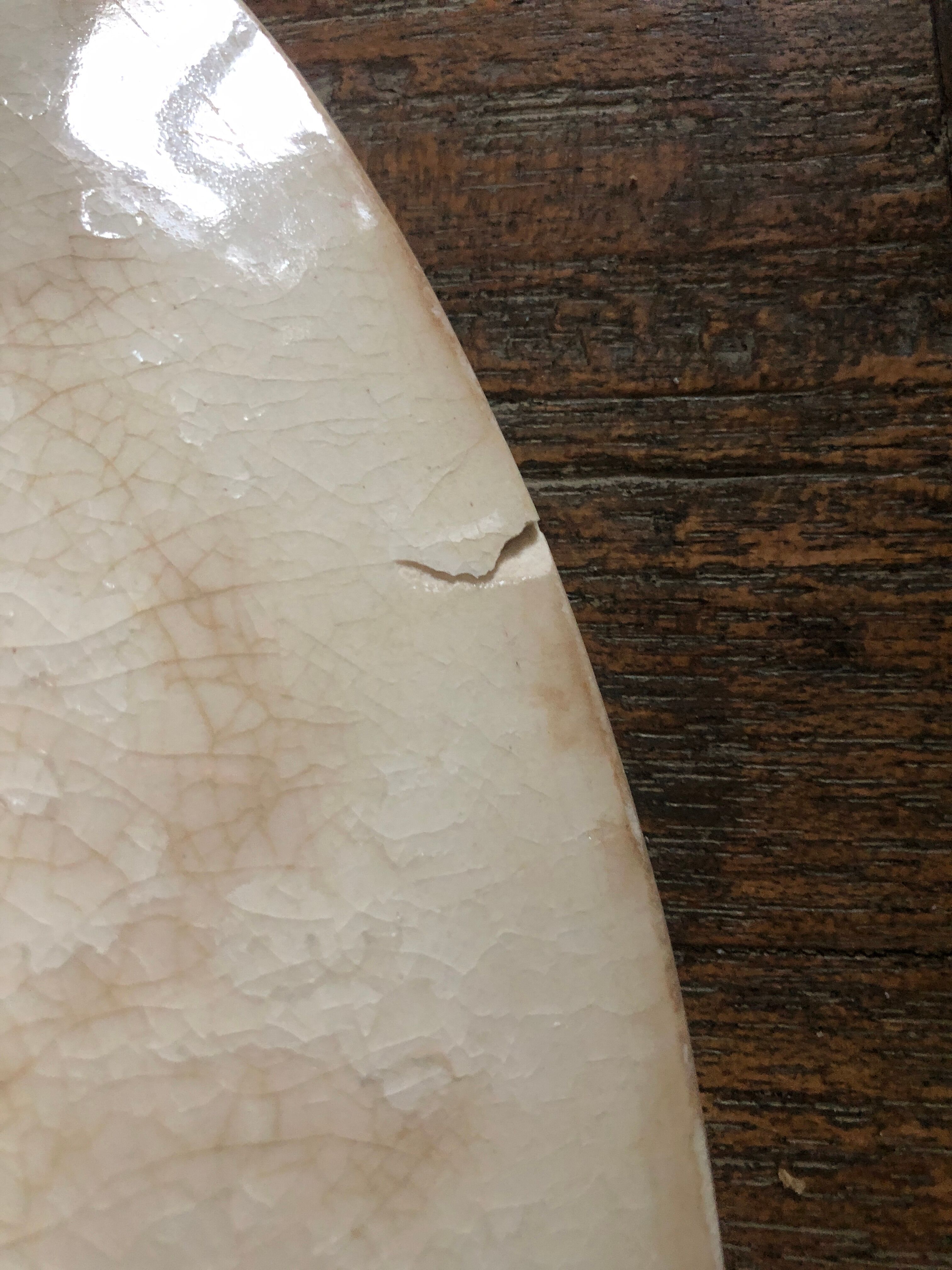 Serving dish Cactus GIEN