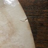 Serving dish Cactus GIEN