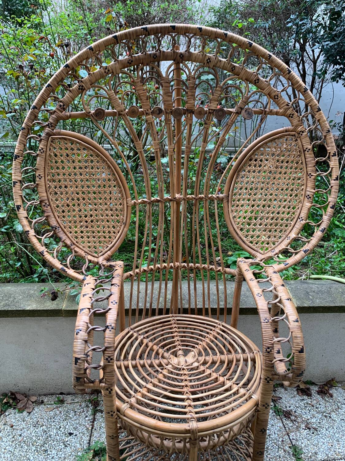 Peacock rattan armchair