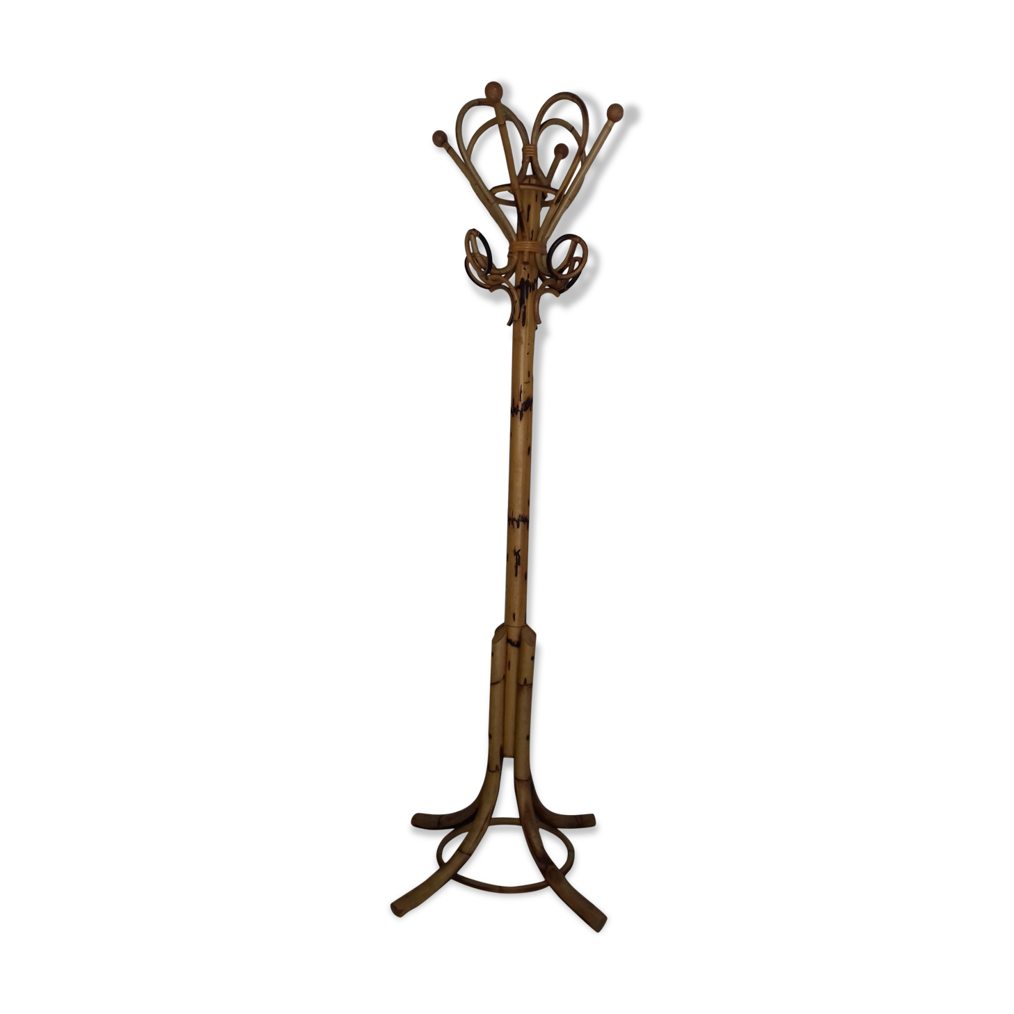 "Parrot" coat holder