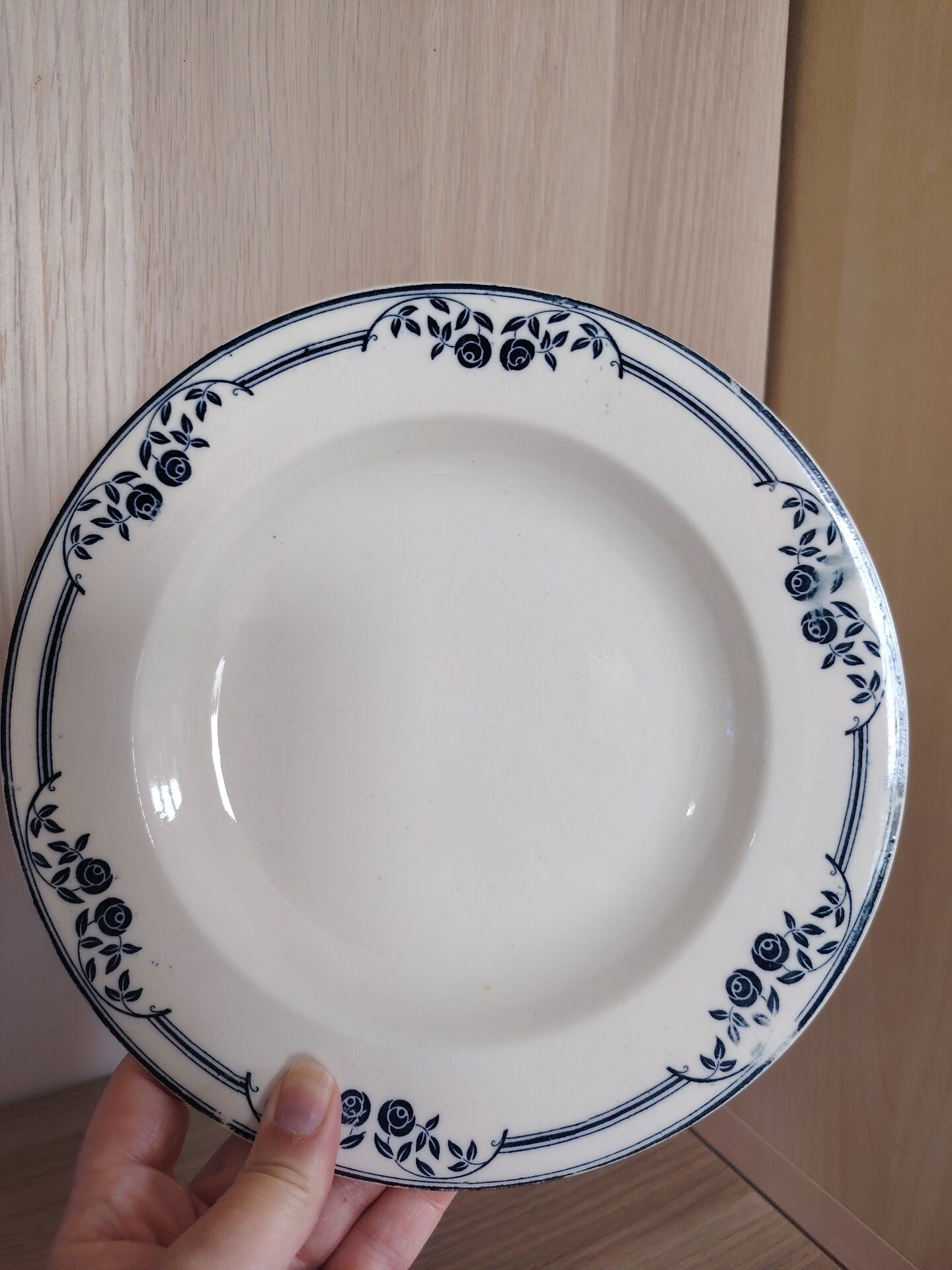 4 deep plates Saussure Ironstone