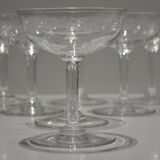 Champagne cups