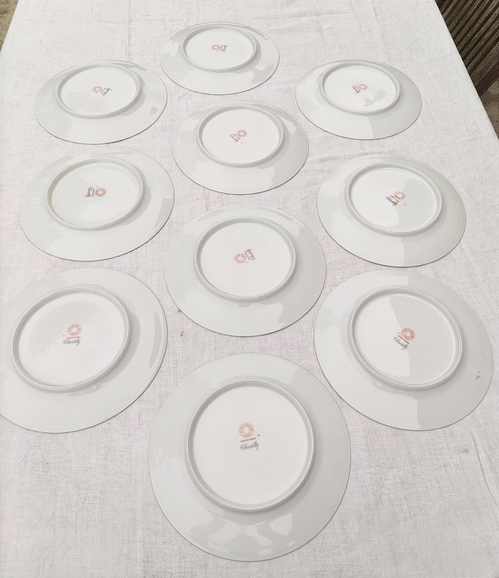 10 flat plates in Limoges porcelain - Haviland