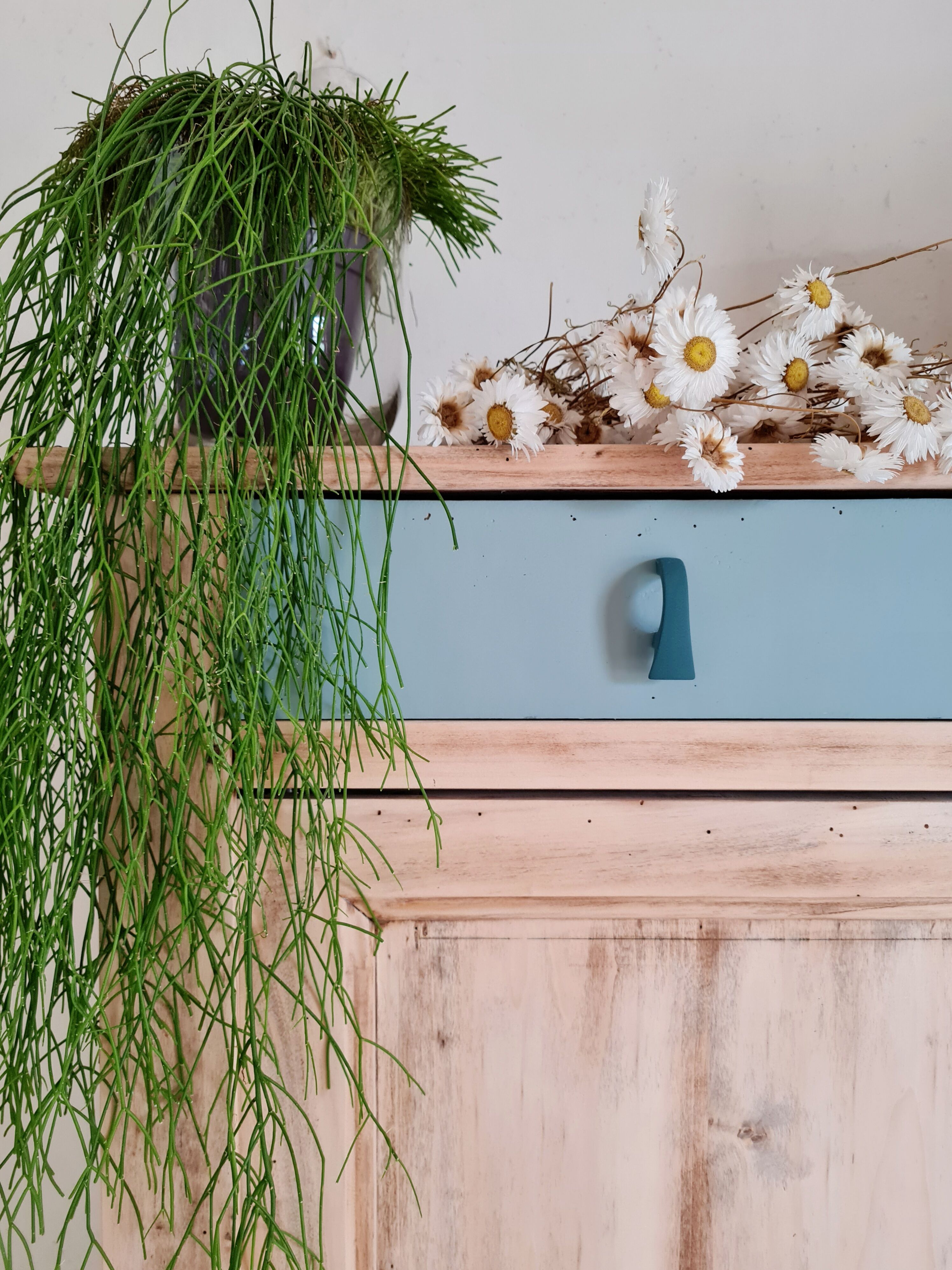 Old Parisian wardrobe