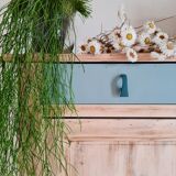 Old Parisian wardrobe