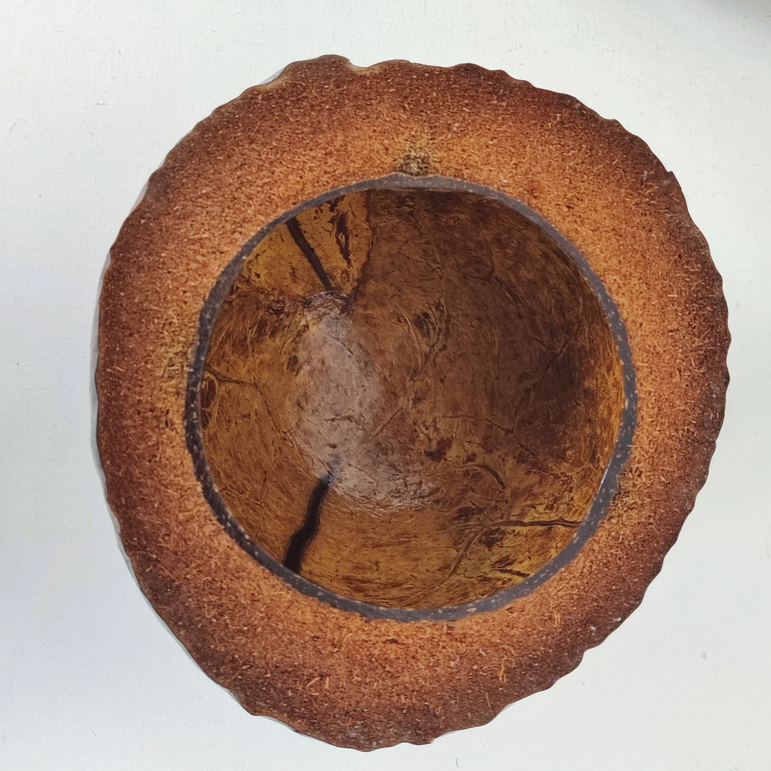 Seau à glaçons noix de coco