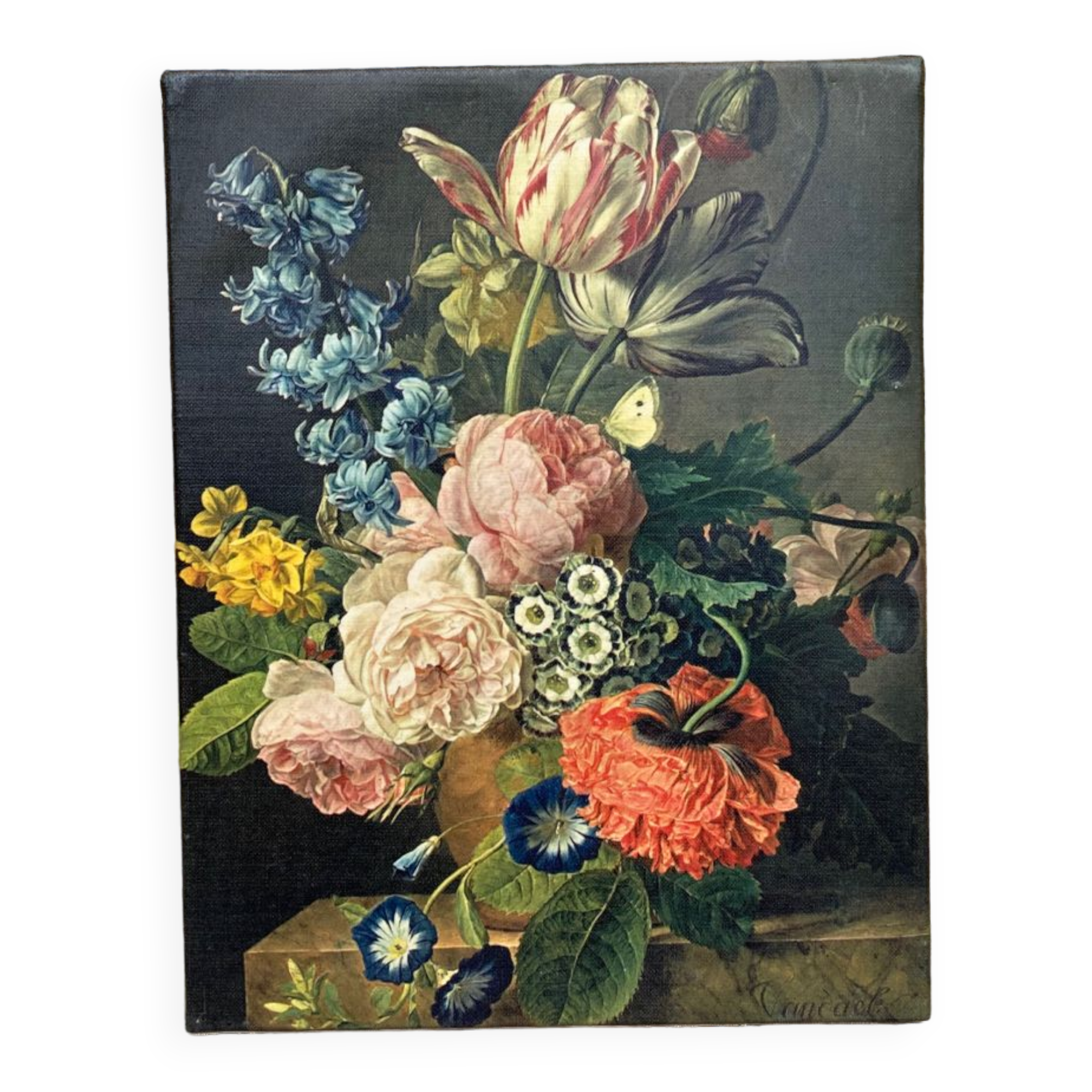 Cadre édition Braun et Cie roses tulipes et pavots