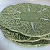Flat plates in cabbage leaf slurry