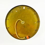 Large Mid-Century Murano Glass & Brass Flower Ceiling Light by Ernst Palme, Germany, 1960s/70s