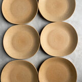 Stoneware plates