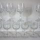 10 Tarentula glasses in crystal by Schott Zwiesel