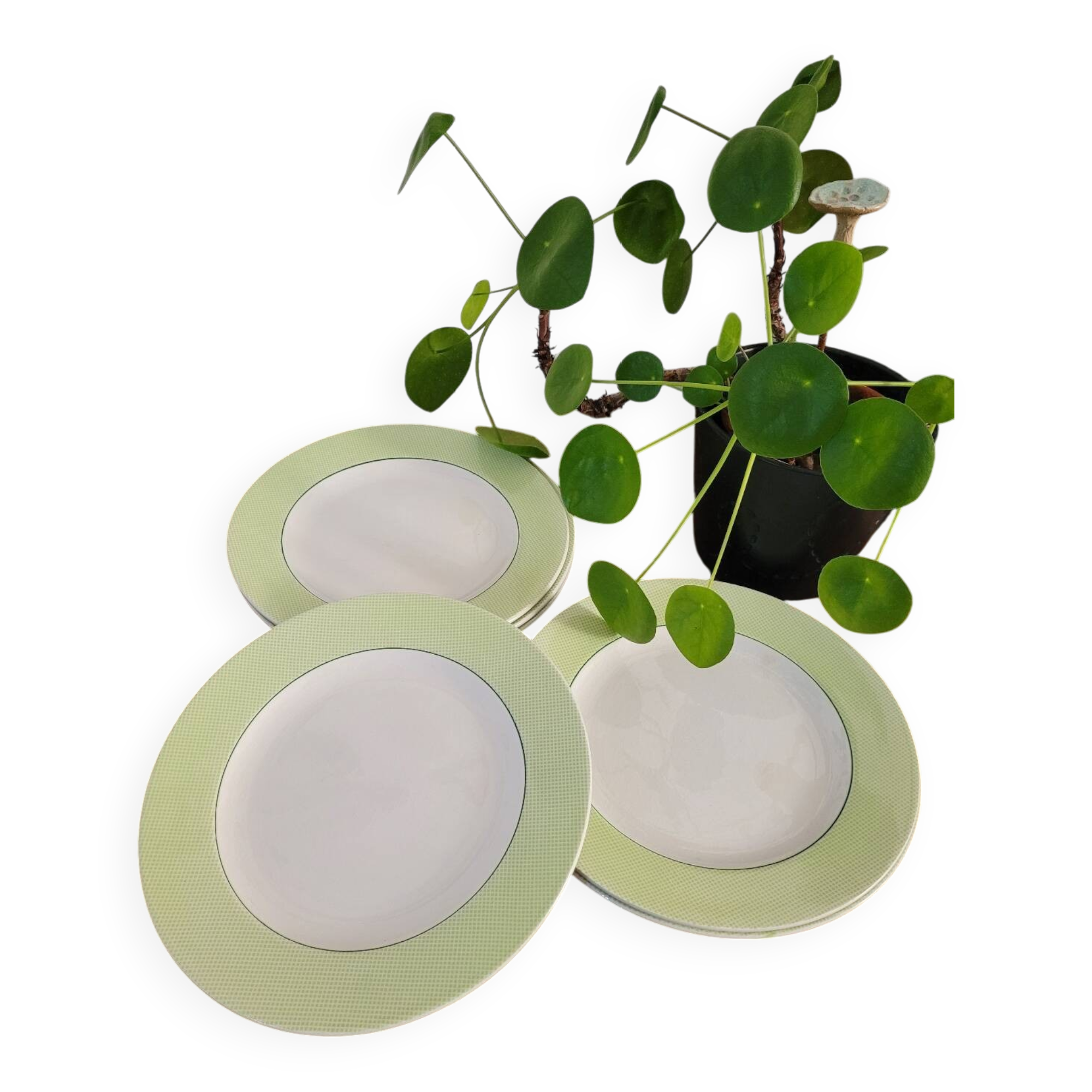 Set of 6 Linon Saint Amand flat plates