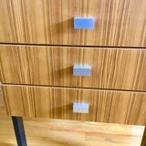 Chest of drawers by Pierre Guariche for Meurop