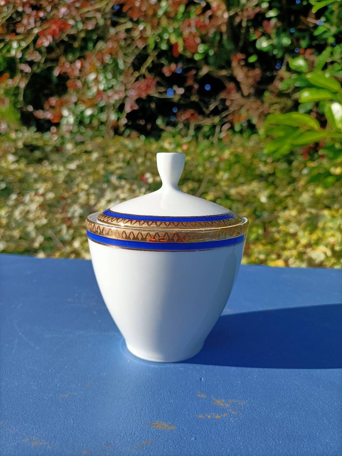 Hertel Jacob Bavaria Tea Set