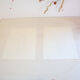 2 botanical engravings from Art and decor 104