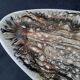 Ceramic fish dish from Niderviller model Ecume